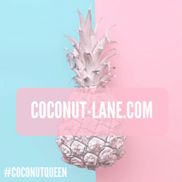 Coconut Lane (coconut-lane.com) 20% discount code: gollymissholly20